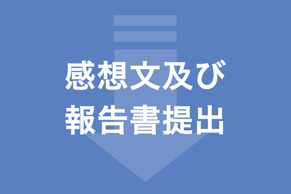 感想文及び報告書提出