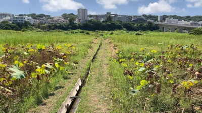 「農業と食の繋がり」宜野湾市地域コーディネーター養成講座（第4回）が開催されました！!