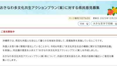 【沖縄県】おきなわ多文化共生アクションプラン（案）に対する県民意見募集